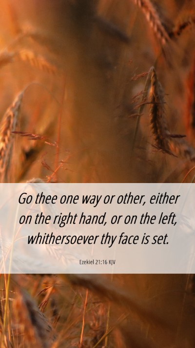 Picture 06 - Ezekiel 21:16 KJV Mobile Phone Wallpaper - Go thee one way or other, either on the right - Mobile Bible Verse Wallpaper