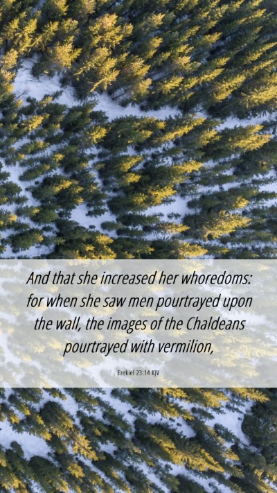 Picture 06 - Ezekiel 23:14 KJV Mobile Phone Wallpaper - And that she increased her whoredoms: for when - Mobile Bible Verse Wallpaper