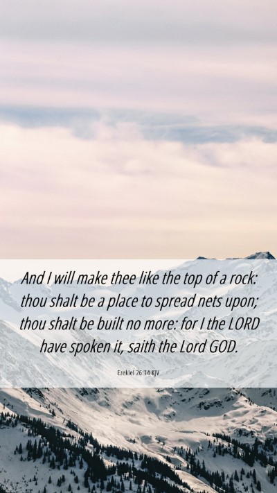 Picture 06 - Ezekiel 26:14 KJV Mobile Phone Wallpaper - And I will make thee like the top of a rock: thou - Mobile Bible Verse Wallpaper