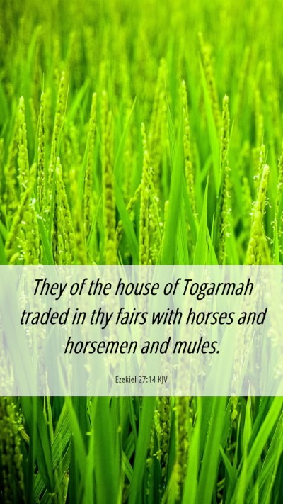 Picture 06 - Ezekiel 27:14 KJV Mobile Phone Wallpaper - They of the house of Togarmah traded in thy fairs - Mobile Bible Verse Wallpaper