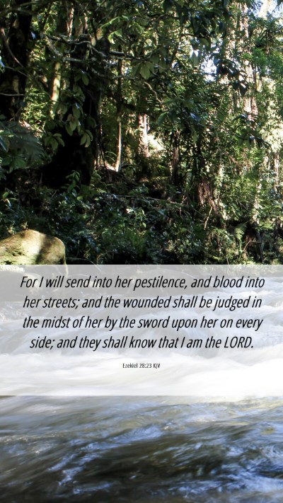 Picture 06 - Ezekiel 28:23 KJV Mobile Phone Wallpaper - For I will send into her pestilence, and blood - Mobile Bible Verse Wallpaper