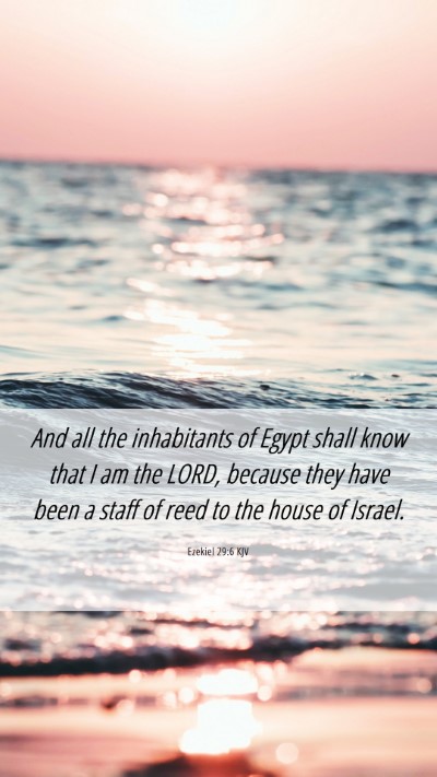 Picture 06 - Ezekiel 29:6 KJV Mobile Phone Wallpaper - And all the inhabitants of Egypt shall know that - Mobile Bible Verse Wallpaper