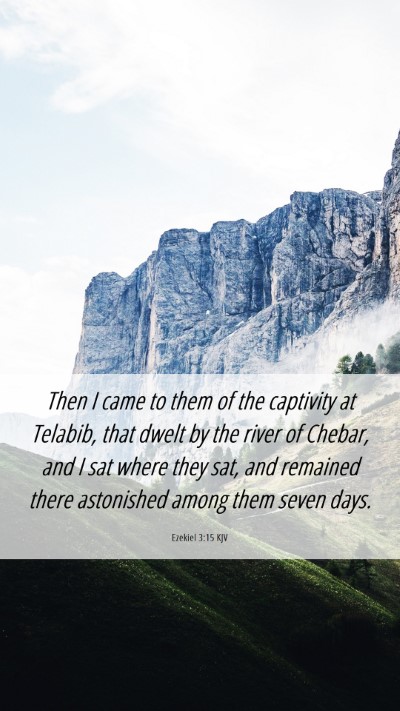 Picture 06 - Ezekiel 3:15 KJV Mobile Phone Wallpaper - Then I came to them of the captivity at Telabib, - Mobile Bible Verse Wallpaper