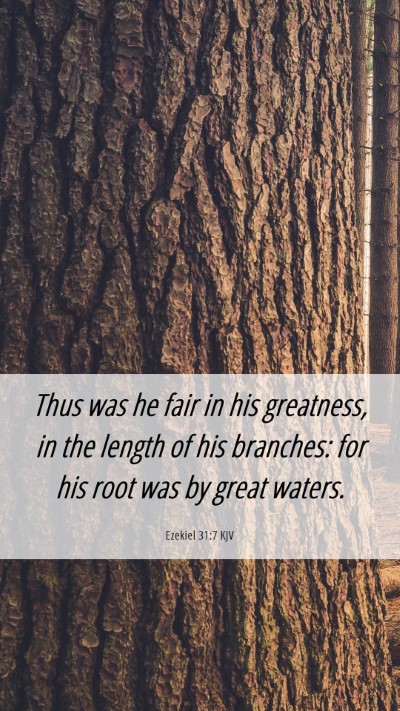 Picture 06 - Ezekiel 31:7 KJV Mobile Phone Wallpaper - Thus was he fair in his greatness, in the length - Mobile Bible Verse Wallpaper