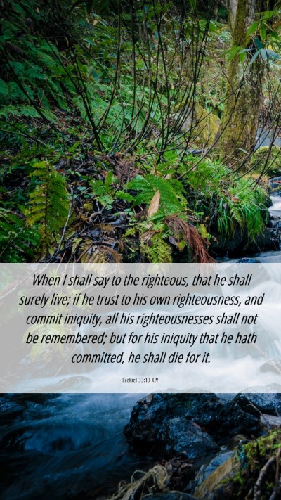 Picture 06 - Ezekiel 33:13 KJV Mobile Phone Wallpaper - When I shall say to the righteous, that he shall - Mobile Bible Verse Wallpaper