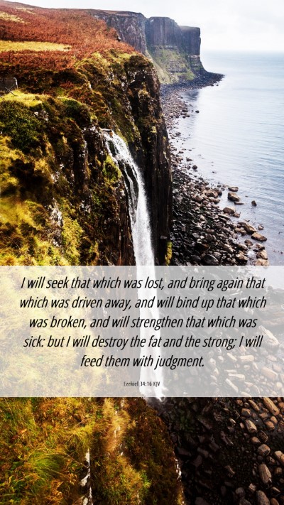 Picture 06 - Ezekiel 34:16 KJV Mobile Phone Wallpaper - I will seek that which was lost, and bring again - Mobile Bible Verse Wallpaper