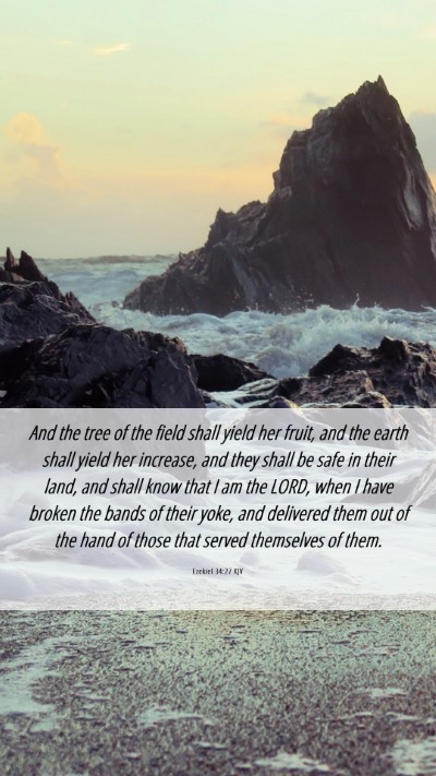 Picture 06 - Ezekiel 34:27 KJV Mobile Phone Wallpaper - And the tree of the field shall yield her fruit, - Mobile Bible Verse Wallpaper