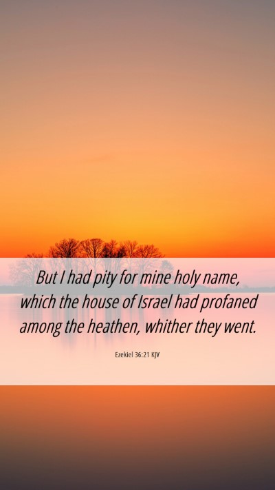 Picture 06 - Ezekiel 36:21 KJV Mobile Phone Wallpaper - But I had pity for mine holy name, which the - Mobile Bible Verse Wallpaper