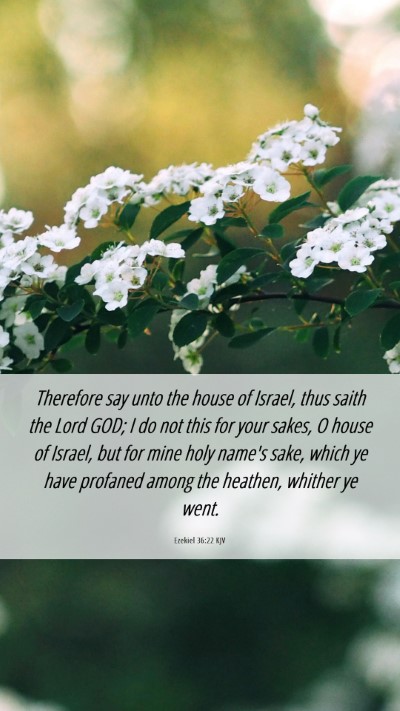 Picture 06 - Ezekiel 36:22 KJV Mobile Phone Wallpaper - Therefore say unto the house of Israel, thus - Mobile Bible Verse Wallpaper