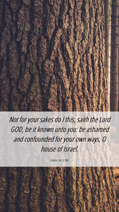 Picture 06 - Ezekiel 36:32 KJV Mobile Phone Wallpaper - Not for your sakes do I this, saith the Lord GOD, - Mobile Bible Verse Wallpaper