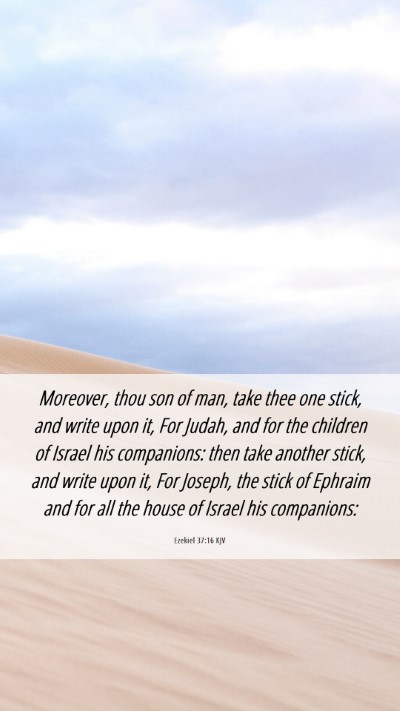 Picture 06 - Ezekiel 37:16 KJV Mobile Phone Wallpaper - Moreover, thou son of man, take thee one stick, - Mobile Bible Verse Wallpaper
