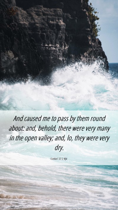 Picture 06 - Ezekiel 37:2 KJV Mobile Phone Wallpaper - And caused me to pass by them round about: and, - Mobile Bible Verse Wallpaper