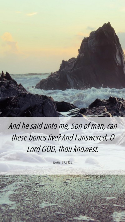 Picture 06 - Ezekiel 37:3 KJV Mobile Phone Wallpaper - And he said unto me, Son of man, can these bones - Mobile Bible Verse Wallpaper