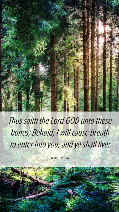 Picture 06 - Ezekiel 37:5 KJV Mobile Phone Wallpaper - Thus saith the Lord GOD unto these bones; Behold, - Mobile Bible Verse Wallpaper