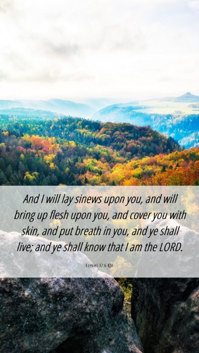 Picture 06 - Ezekiel 37:6 KJV Mobile Phone Wallpaper - And I will lay sinews upon you, and will bring up - Mobile Bible Verse Wallpaper