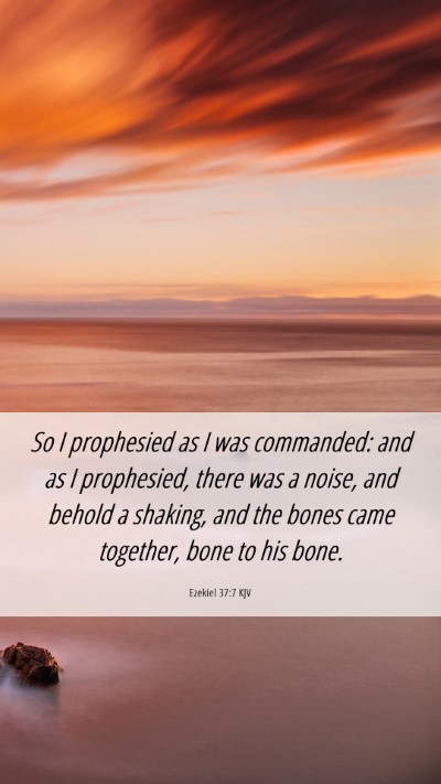 Picture 06 - Ezekiel 37:7 KJV Mobile Phone Wallpaper - So I prophesied as I was commanded: and as I - Mobile Bible Verse Wallpaper