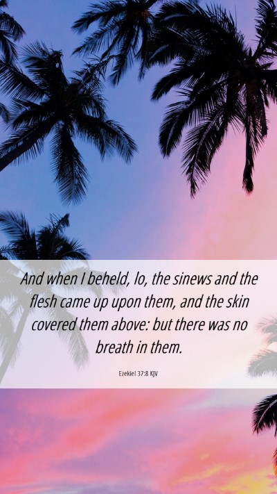 Picture 06 - Ezekiel 37:8 KJV Mobile Phone Wallpaper - And when I beheld, lo, the sinews and the flesh - Mobile Bible Verse Wallpaper