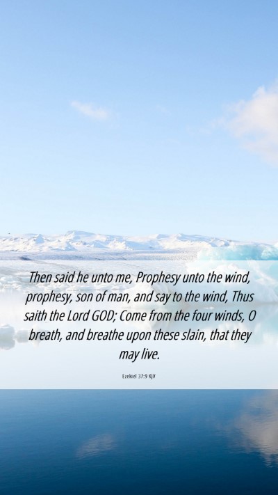 Picture 06 - Ezekiel 37:9 KJV Mobile Phone Wallpaper - Then said he unto me, Prophesy unto the wind, - Mobile Bible Verse Wallpaper