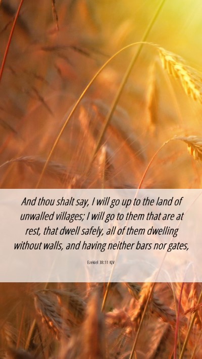 Picture 06 - Ezekiel 38:11 KJV Mobile Phone Wallpaper - And thou shalt say, I will go up to the land of - Mobile Bible Verse Wallpaper