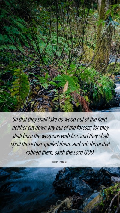 Picture 06 - Ezekiel 39:10 KJV Mobile Phone Wallpaper - So that they shall take no wood out of the field, - Mobile Bible Verse Wallpaper