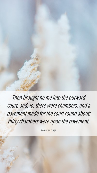 Picture 06 - Ezekiel 40:17 KJV Mobile Phone Wallpaper - Then brought he me into the outward court, and, - Mobile Bible Verse Wallpaper