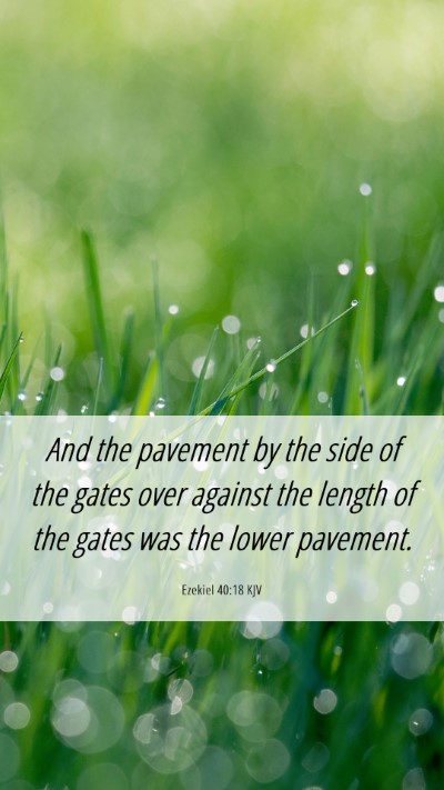 Picture 06 - Ezekiel 40:18 KJV Mobile Phone Wallpaper - And the pavement by the side of the gates over - Mobile Bible Verse Wallpaper