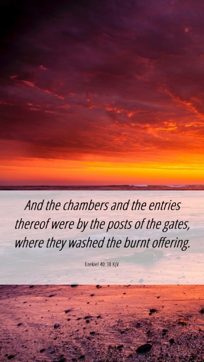 Picture 06 - Ezekiel 40:38 KJV Mobile Phone Wallpaper - And the chambers and the entries thereof were by - Mobile Bible Verse Wallpaper