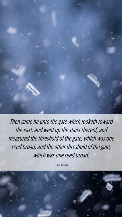 Picture 06 - Ezekiel 40:6 KJV Mobile Phone Wallpaper - Then came he unto the gate which looketh toward - Mobile Bible Verse Wallpaper