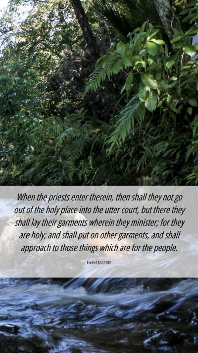 Picture 06 - Ezekiel 42:14 KJV Mobile Phone Wallpaper - When the priests enter therein, then shall they - Mobile Bible Verse Wallpaper