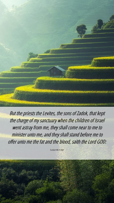 Picture 06 - Ezekiel 44:15 KJV Mobile Phone Wallpaper - But the priests the Levites, the sons of Zadok, - Mobile Bible Verse Wallpaper