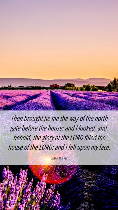 Picture 06 - Ezekiel 44:4 KJV Mobile Phone Wallpaper - Then brought he me the way of the north gate - Mobile Bible Verse Wallpaper