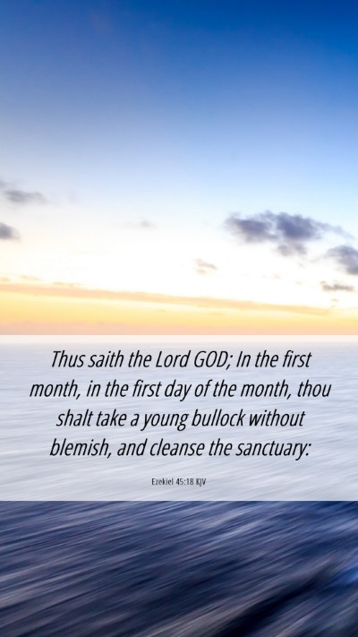 Picture 06 - Ezekiel 45:18 KJV Mobile Phone Wallpaper - Thus saith the Lord GOD; In the first month, in - Mobile Bible Verse Wallpaper