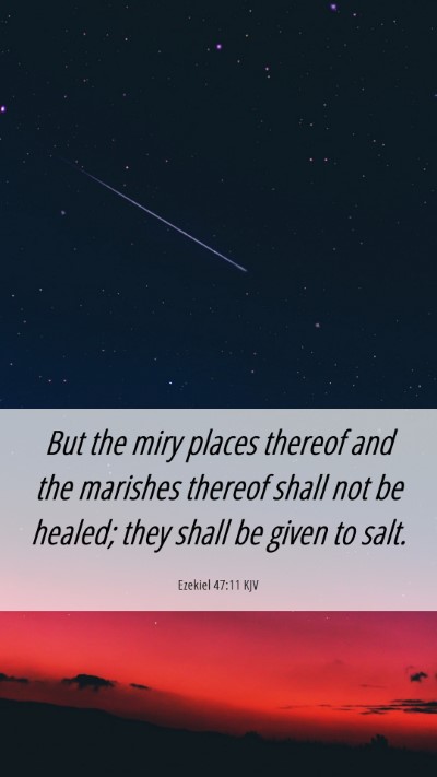 Picture 06 - Ezekiel 47:11 KJV Mobile Phone Wallpaper - But the miry places thereof and the marishes - Mobile Bible Verse Wallpaper