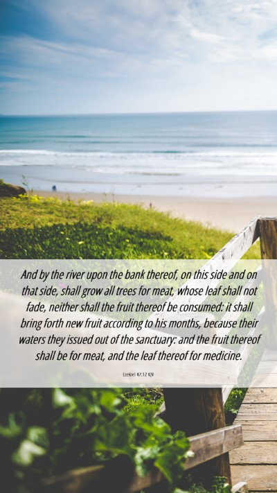 Picture 06 - Ezekiel 47:12 KJV Mobile Phone Wallpaper - And by the river upon the bank thereof, on this - Mobile Bible Verse Wallpaper