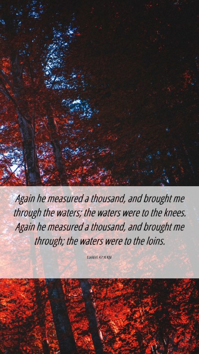 Picture 06 - Ezekiel 47:4 KJV Mobile Phone Wallpaper - Again he measured a thousand, and brought me - Mobile Bible Verse Wallpaper