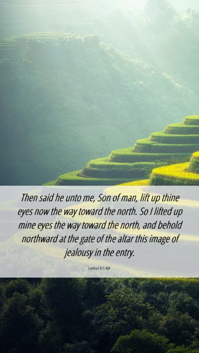 Picture 06 - Ezekiel 8:5 KJV Mobile Phone Wallpaper - Then said he unto me, Son of man, lift up thine - Mobile Bible Verse Wallpaper