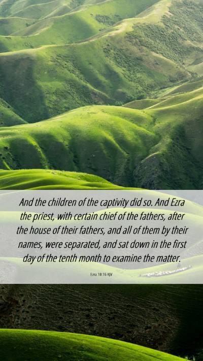 Picture 06 - Ezra 10:16 KJV Mobile Phone Wallpaper - And the children of the captivity did so. And - Mobile Bible Verse Wallpaper