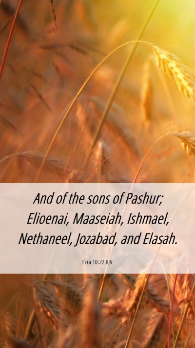 Picture 06 - Ezra 10:22 KJV Mobile Phone Wallpaper - And of the sons of Pashur; Elioenai, Maaseiah, - Mobile Bible Verse Wallpaper