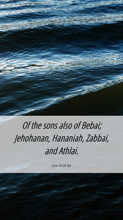 Picture 06 - Ezra 10:28 KJV Mobile Phone Wallpaper - Of the sons also of Bebai; Jehohanan, Hananiah, - Mobile Bible Verse Wallpaper
