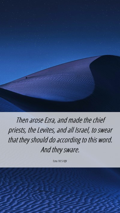 Picture 06 - Ezra 10:5 KJV Mobile Phone Wallpaper - Then arose Ezra, and made the chief priests, the - Mobile Bible Verse Wallpaper