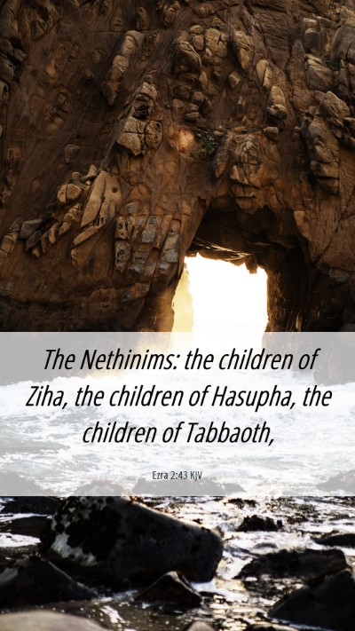Picture 06 - Ezra 2:43 KJV Mobile Phone Wallpaper - The Nethinims: the children of Ziha, the children - Mobile Bible Verse Wallpaper