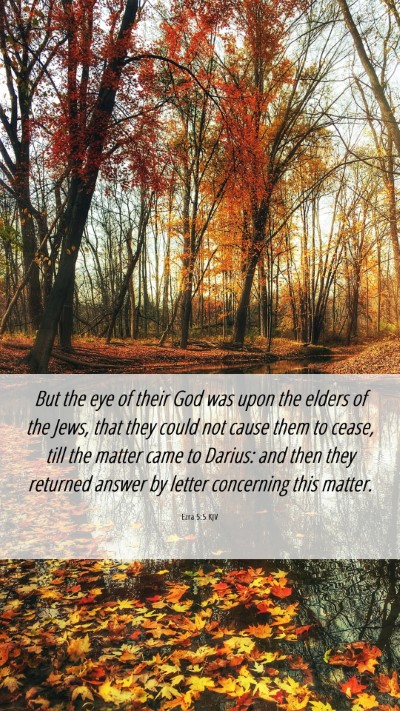 Picture 06 - Ezra 5:5 KJV Mobile Phone Wallpaper - But the eye of their God was upon the elders of - Mobile Bible Verse Wallpaper