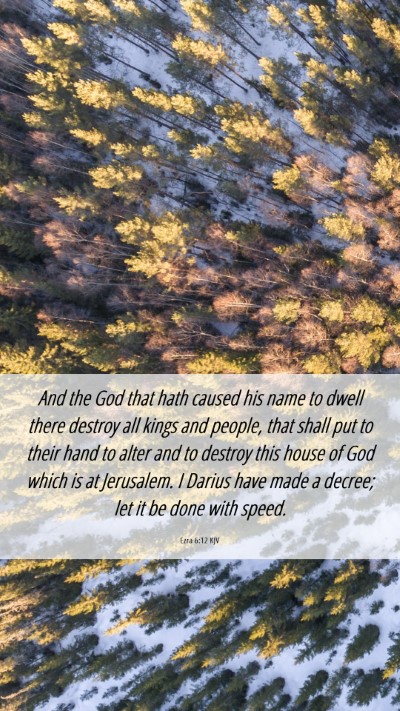 Picture 06 - Ezra 6:12 KJV Mobile Phone Wallpaper - And the God that hath caused his name to dwell - Mobile Bible Verse Wallpaper