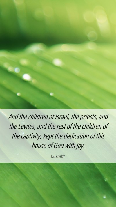 Picture 06 - Ezra 6:16 KJV Mobile Phone Wallpaper - And the children of Israel, the priests, and the - Mobile Bible Verse Wallpaper