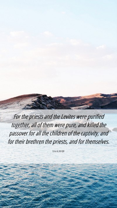 Picture 06 - Ezra 6:20 KJV Mobile Phone Wallpaper - For the priests and the Levites were purified - Mobile Bible Verse Wallpaper