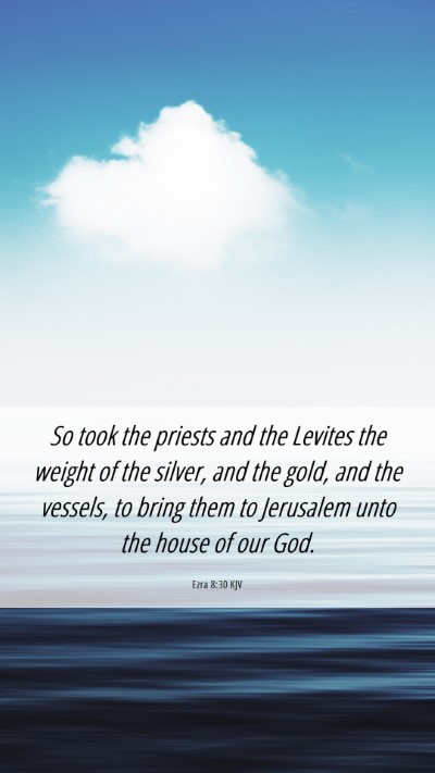 Picture 06 - Ezra 8:30 KJV Mobile Phone Wallpaper - So took the priests and the Levites the weight of - Mobile Bible Verse Wallpaper