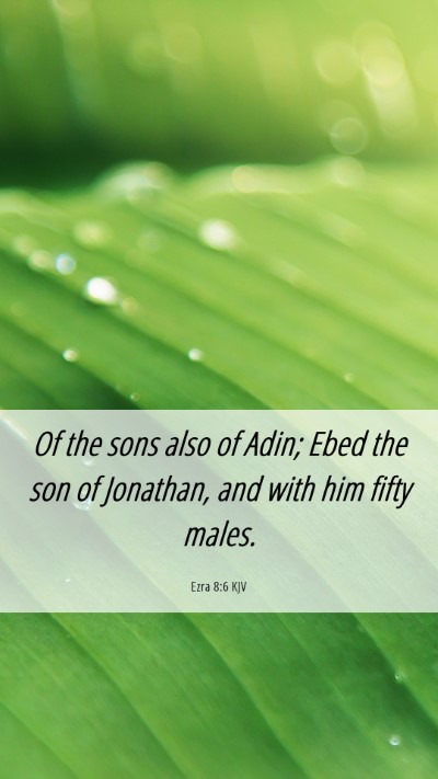 Picture 06 - Ezra 8:6 KJV Mobile Phone Wallpaper - Of the sons also of Adin; Ebed the son of - Mobile Bible Verse Wallpaper