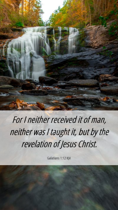 Picture 06 - Galatians 1:12 KJV Mobile Phone Wallpaper - For I neither received it of man, neither was I - Mobile Bible Verse Wallpaper