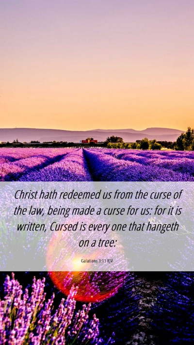 Picture 06 - Galatians 3:13 KJV Mobile Phone Wallpaper - Christ hath redeemed us from the curse of the - Mobile Bible Verse Wallpaper