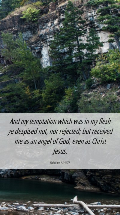 Picture 06 - Galatians 4:14 KJV Mobile Phone Wallpaper - And my temptation which was in my flesh ye - Mobile Bible Verse Wallpaper